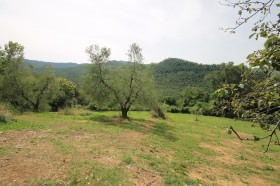 Tuscany, Santa Fiora farm for sale [762]