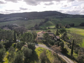 Toscana Agriturismo  in vendita [305]