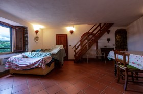 Tuscany, Monte Amiata, properties for sale [785]