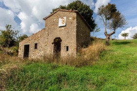 Arcidosso, Monte Labro, agricultural land for sale [2]