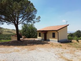 Toscana Azienda Agricola in vendita [329]