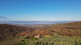 Toscana, azienda agricola in vendita [328]