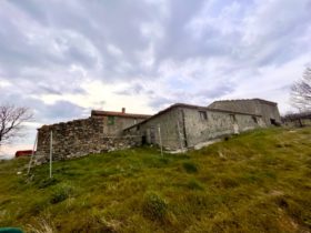 Toscana casale in vendita con terreno [118]