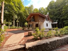 Toscana chalet in vendita [275]