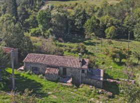 Toscana casale in vendita [728]