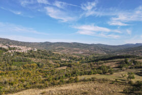 Casale con terreno in vendita a Santa Fiora[795]