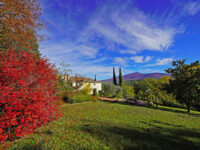 Prestigioso casale storico in pietra con terreno in vendita in Toscana [72]