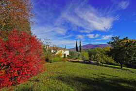 Prestigioso casale storico in pietra con terreno in vendita in Toscana [72]