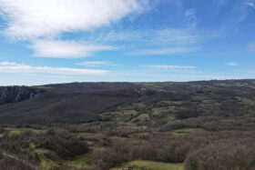 Toscana, aziende agricole [652]