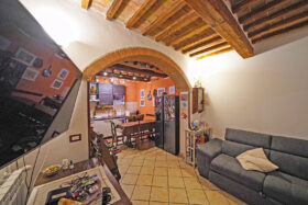 Castel del Piano, abitazione con terrazzo e garage in vendita [239]